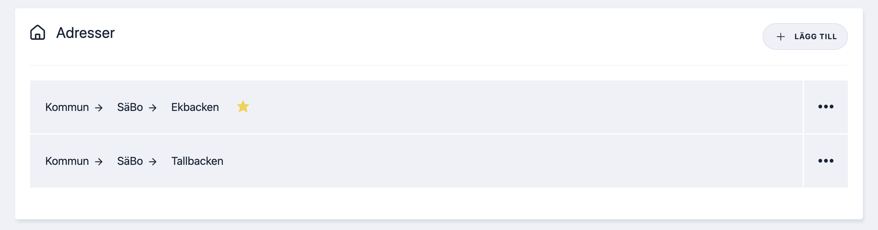 medad_2.png